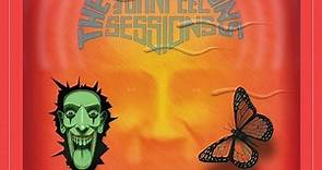 The Chameleons - John Peel Sessions