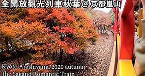 【讚歎! 】京都嵐山嵯峨野開放式小火車 紅葉2020 【Kyoto Arashiyama】The Sagano Sagano Romantic(Autumn Leaves, Japan)