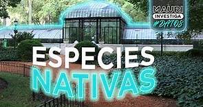 Jardín Botánico de Buenos Aires y las especies nativas