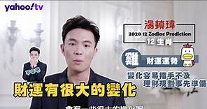 【雞】2020 生肖財運運勢 - 湯鎮瑋生肖運勢
