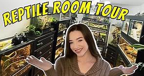 REPTILE ROOM TOUR - Snakes, Lizards, Spiders & More!