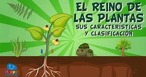 El reino de las plantas. Sus características y clasificación | Vídeos Educativos para Niños