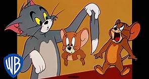 Tom y Jerry en Latino | Los bromistas originales | WB Kids