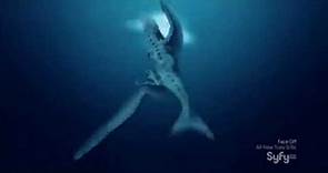 Sharktopus vs Pteracuda - Fight Scenes (HD Syfy)