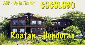 Cocolobo - Roatan - Honduras