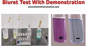 Biuret Test With Demonstration In 5 Minutes || Biuret Test Biochemistry
