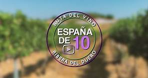 Ruta del vino Ribera del Duero: 10 básicos