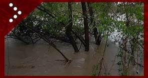 Villafranca (To), il Po supera il livello di guardia: inondate le aree golenali