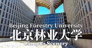 BEIJING FORESTRY UNIVERSITY 北京林业大学-Campus Scenery