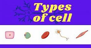 Types of cells in human body 🧬 - DMAedu