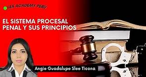 El sistema procesal penal peruano y sus principios