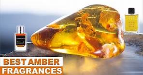 Top 10 Best Amber Fragrances | Ambers For Everyone