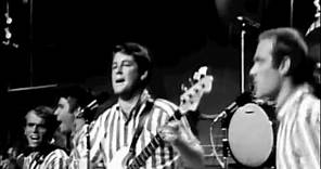 Surfin' USA Live on the T.A.M.I. Show (1964)