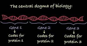 Introduction to Genetic Terminology