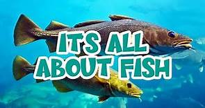 All about Fish for Kids | Learn the characteristics of fish | What is a fish?