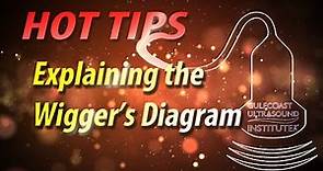 Explaining the Wiggers Diagram