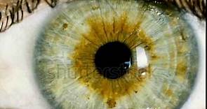 Female green eye close up extreme macro zoom in iris.HD | Video Footage | Shutterstock