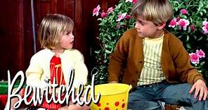 Tabitha Uses Magic on A Bully | Bewitched