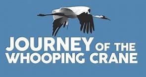Journey of the Whooping Crane Trailer