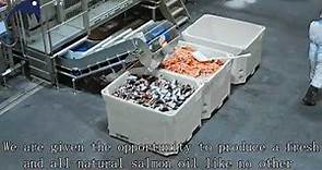 挪威藍躍寵物三文魚油 Norway Atlantic Delights Pet Salmon Oil