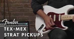 Tex-Mex Pickups | Fender