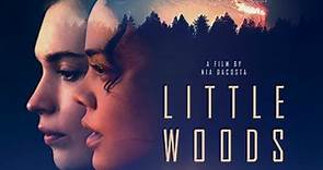 Little Woods, Il Trailer Ufficiale del Film - HD - Film (2018)