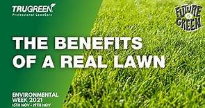 The Environmental Benefits of Real Grass | Say No To Fake Grass