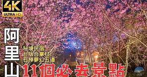 2024阿里山深度旅遊｜櫻花景點全免費！台灣版合掌村有如世外桃園！ 11 must-visit attractions for in-depth travel in Alishan, Taiwan