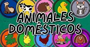 ANIMALES DOMÉSTICOS - ¿QUÉ SON? - EJEMPLOS