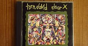 David Torn / Door X
