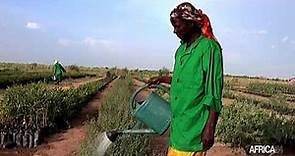 Mali : Vers la création d’emploi féminin et d’agropoles