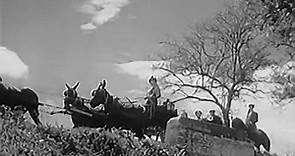 La Lola se va a los puertos (1947)