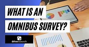 Defining Omnibus Surveys (& How Does They Differ from Traditional Online Survey Projects)