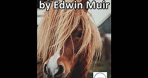 The Horses by Edwin Muir SD 480p