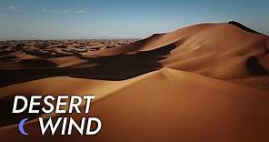 Desert Wind Sound - 10 Hours - Stress Relief | Meditate - Sleep - Study | Desert Winds