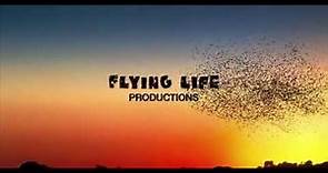 Flying Life Productions/Virago Productions/Mythology Ent/Phoenix Pictures/Skydance TV/Netflix (2020)
