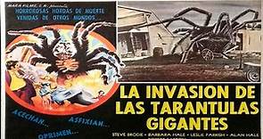 La Invasión De Las Arañas Gigantes (1975)