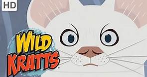 Wild Kratts - Best Season 2 Moments! (Part 5/5) | Kids Videos