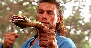 Jean Claude Van Damme golpea a una serpiente | Hard Target | Clip en Español