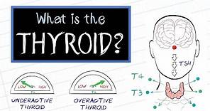 What is Thyroid Disease? (HealthSketch)