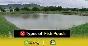 #3 Types of Fish Ponds || Fish Farming