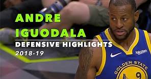 Andre Iguodala Defensive Highlights | 2018-19