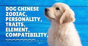 Dog chinese zodiac, personality, traits, element, compatibility