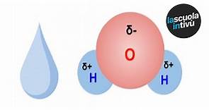 Le proprietà dell'acqua