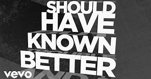 Hinder - Should Have Known Better (Official Lyric Video)
