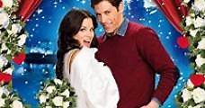 Una novia en la nieve (2013) Online - Película Completa en Español - FULLTV