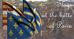 Flags Battle of Pavia
