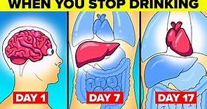 What Happens To Your Body When You Stop Drinking Alcohol