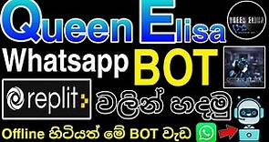 Queen Elisa Whatsapp BOT | How to create whatsapp bot | Queen Elisa Bot | Whatsapp BOT 2023