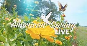 American Spring LIVE Trailer